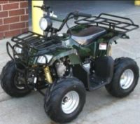 110cc Midsize Utility